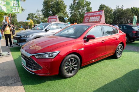 Byd seagull, qin plus auto