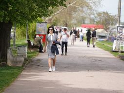 Suncan dan u Beogradu