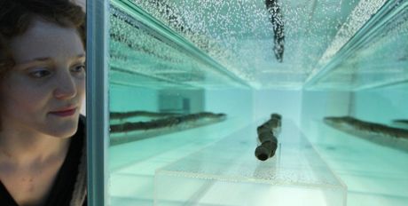 Koplja iz Šeningena