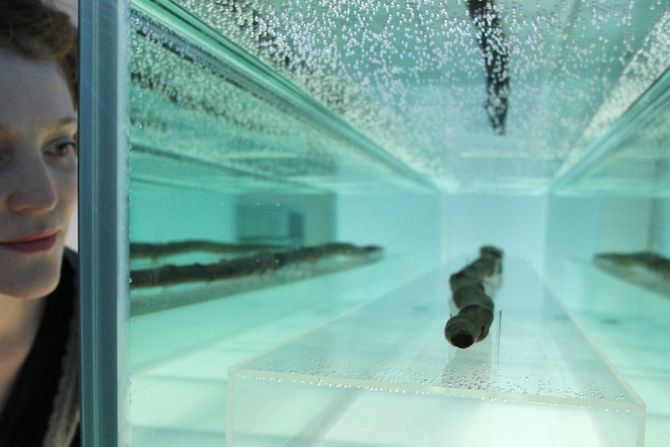 Koplja iz Šeningena