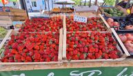 Stigle su prve jagode: Cena ostavila kupce bez reči, a jedna tradicionalna namirnica im je "za petama"