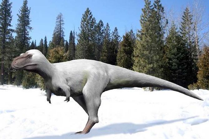 nanuksaurus dinosaurus