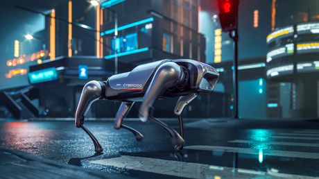 AI Robotic Dog, Psi roboti