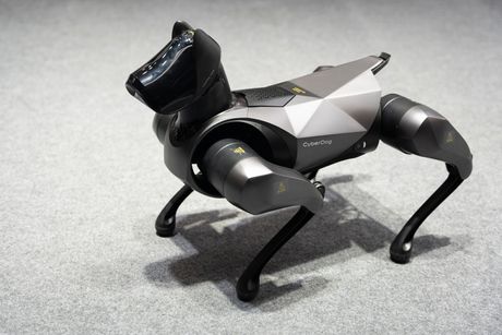 AI Robotic Dog, Psi roboti