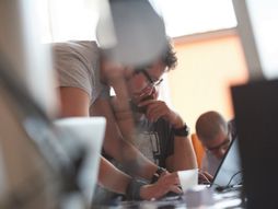 Kompanija, zaposleni, programeri