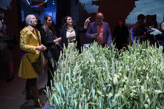 Maj mesec matematike