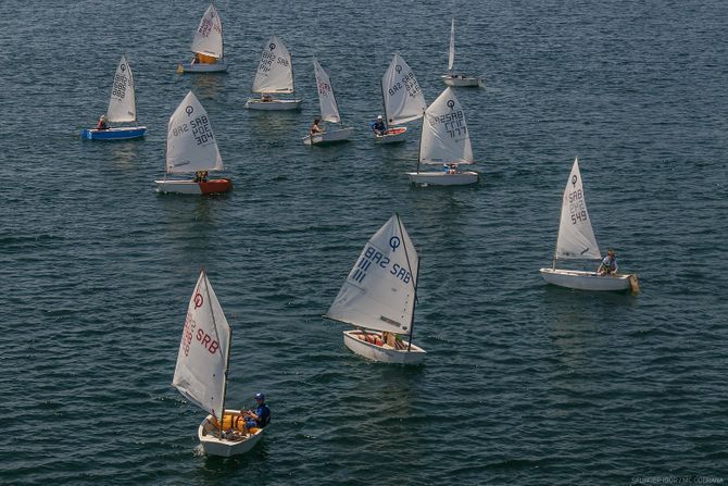 Memorijalna regata Zoran Radosavljevic