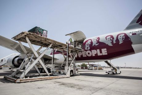 Qatar Airways lavovi