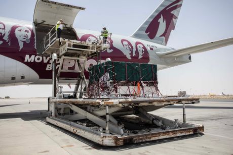 Qatar Airways lavovi