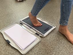 Pirot, aplikacija ArchFix