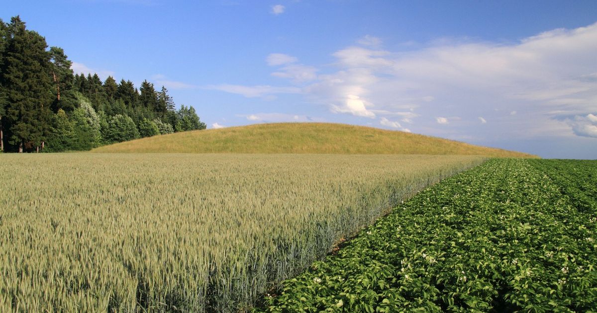 Humku Ko ima veću humku? Veličina grobnica otkriva mnogo o društvenoj ...