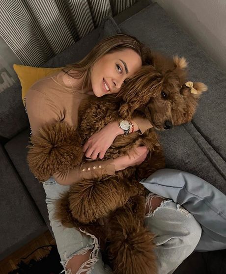 Kaluđerica nestala riđa kraljevska pudla