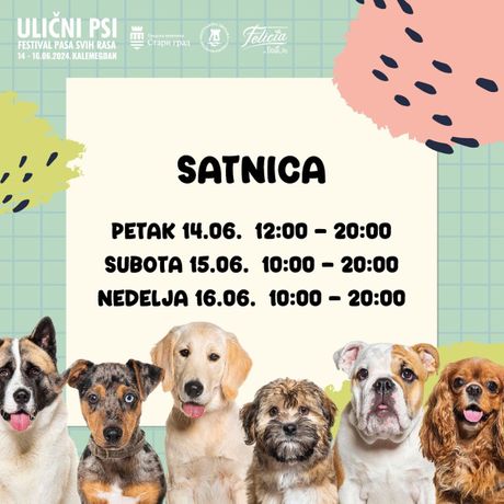 Ulični psi festival