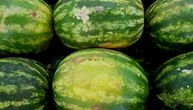 Kucanje je najveća greška pri kupovini lubenice: Ove 2 šare otkrivaju da li je slatka, zrela i puna soka