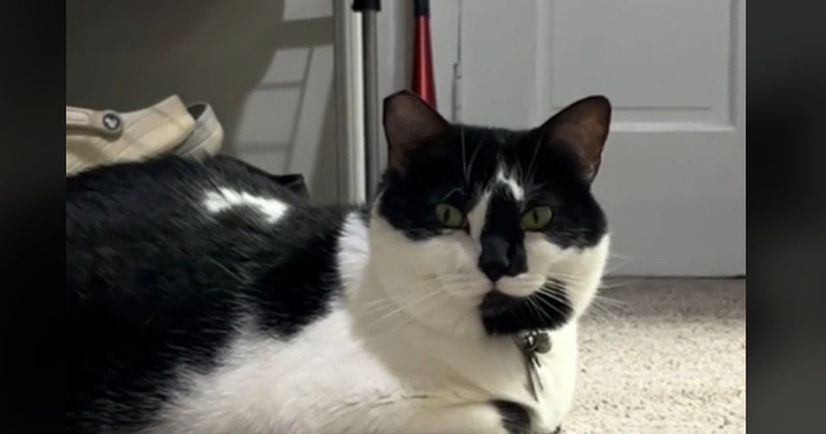 Vlasnica konačno saznala sve o 