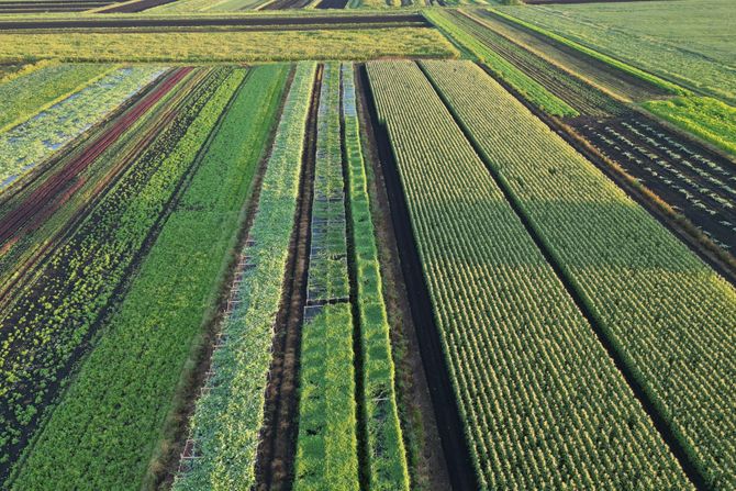 Poljoprivredni zemljište, poljoprivreda