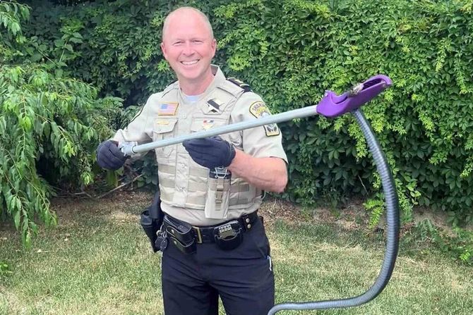 Zmija u kutiji za donacije