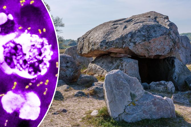 Neolitski farmeri i kuga