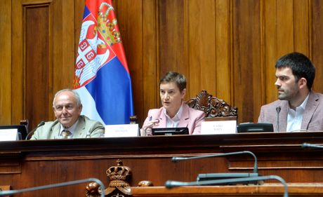 Miroslav Trajanović, Ana Brnabić, Stefan Badža