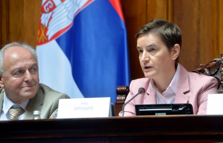 Miroslav Trajanović, Ana Brnabić, Stefan Badža