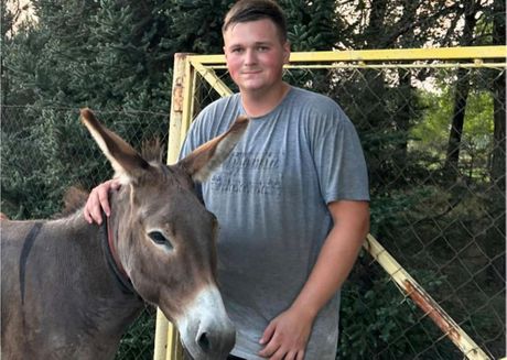 Magarica Brena i njen mužjak vraćeni na salaš