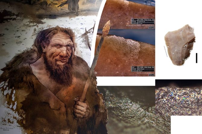 Neandertalci i obrada ptica