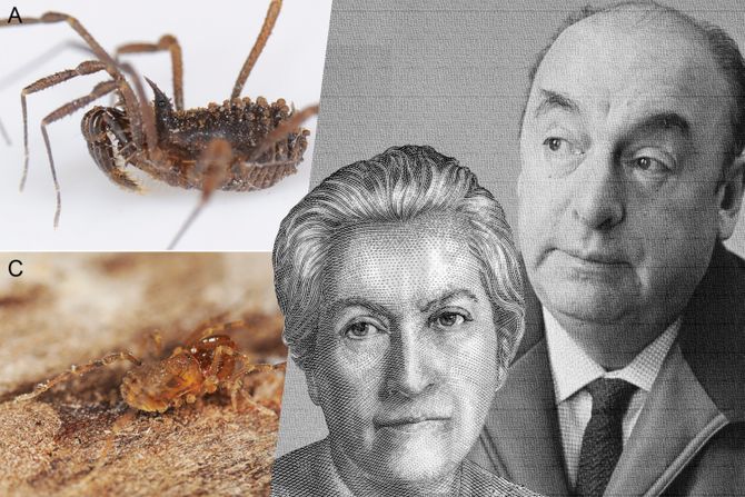 Nove vrste, Mistral, Neruda