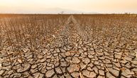 Globalni prinosi useva proteklih decenija pali i do 13%: Klimatske promene menjaju sudbinu glavnih kultura