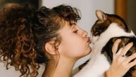 Da li mačke vole poljupce: Vlasnici, oprez, jer ako želite da ljubite neraspoloženu mačku, možete dobiti šamar