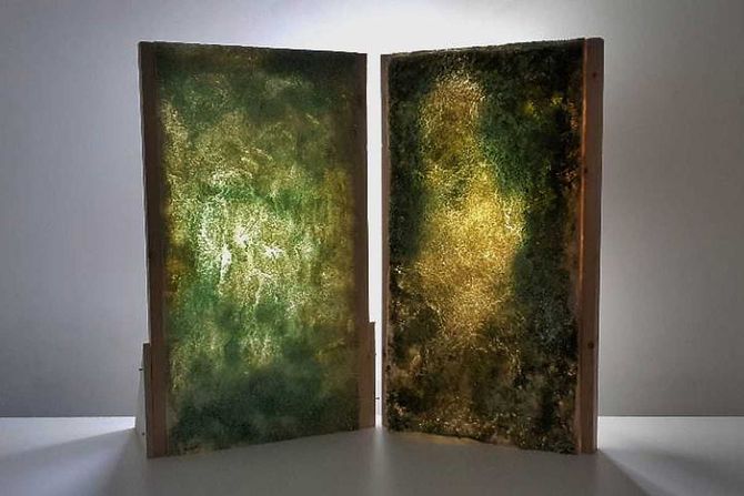 cijanobakterijski paneli