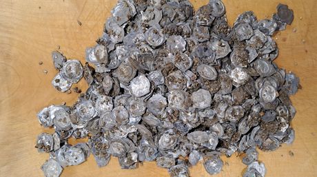 Riznica novčića iz Glotertala