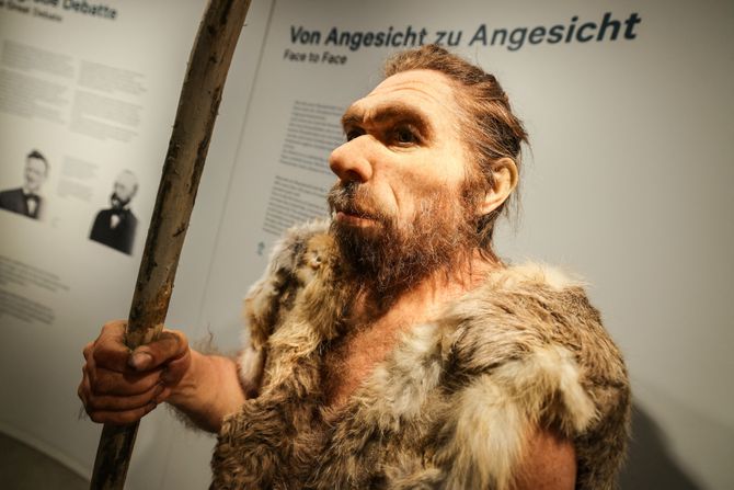 Neandertalac