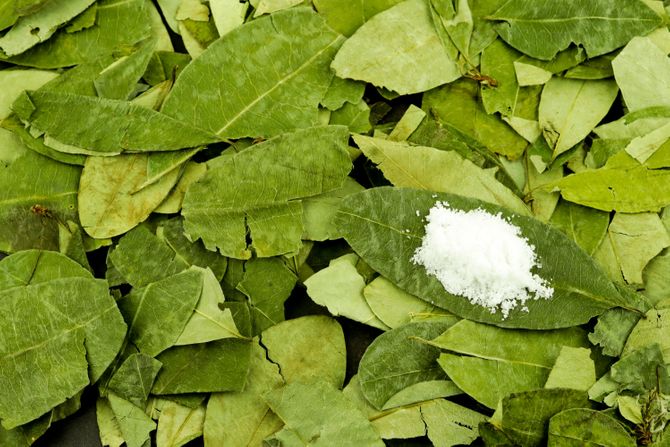 Koka, lišće i prah