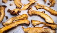 Studija pokazala: Proteini iz gljiva podjednako efikasni kao meso, a imaju i dodatne zdravstvene prednosti