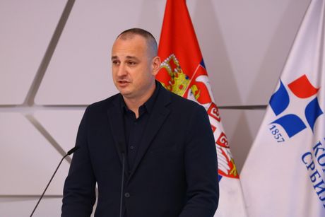 Predrag Nikolić, Web Summit Serbia, Privredna komora Srbije