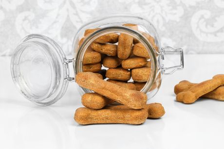 Ledena poslasica za pse