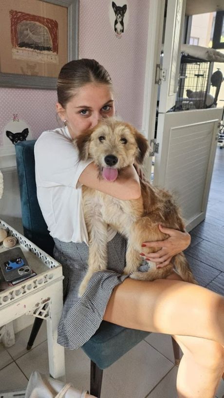 Ljubica pas za udomljavanje