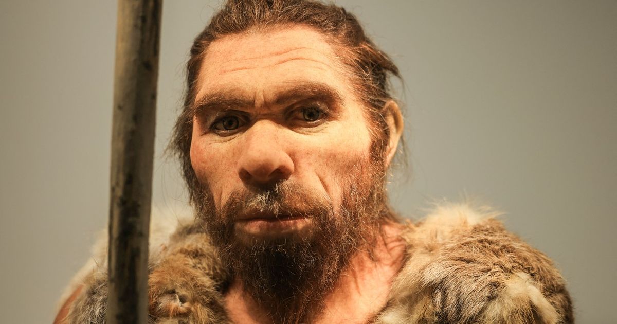 Pre 65.000 godina svi Neandertalci u Evropi su izumrli osim jedne genetske loze