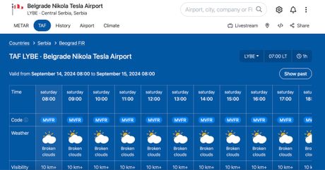screenshot METAR and TAF