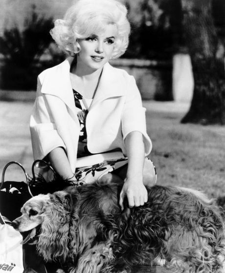 Merilin Monro i pas Jeff