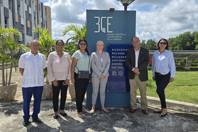 Jelena Begović, Havana