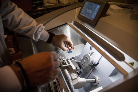 Laboratorija, matične ćelije