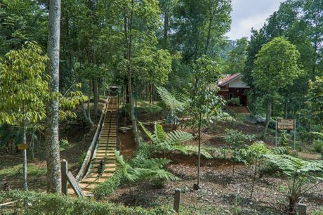Gunung Padang, Indonezija
