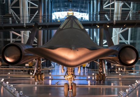 Smitsonian Blackbird Smitsonian Blackbird