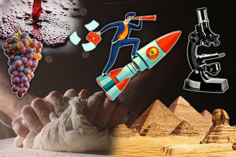 raketa testo, mikroskop, vino, grozd, egipat