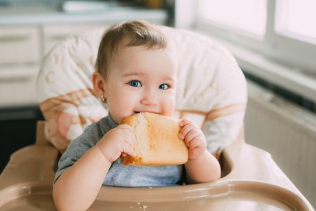 beba, korica hleba, hleb, grickanje hleba, dete jede hleb