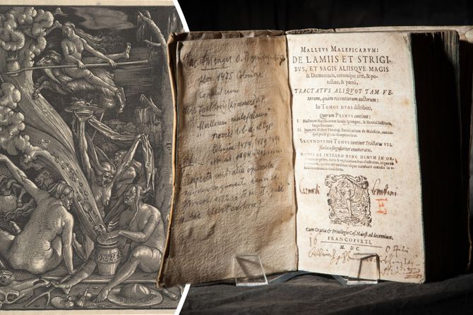 Progon veštica, knjiga