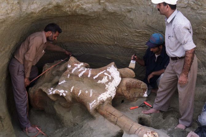 Otkriće lobanje u Kašmiru