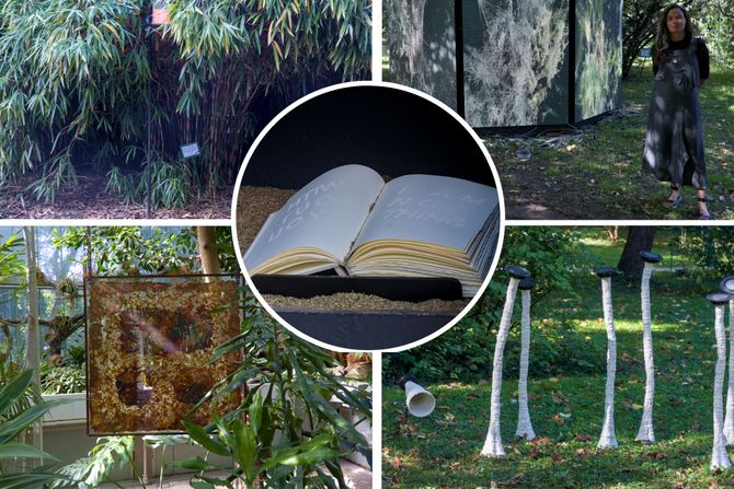 Preplitanja, art+science