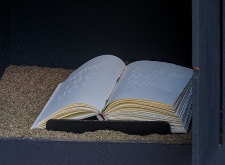 Preplitanja, art+science